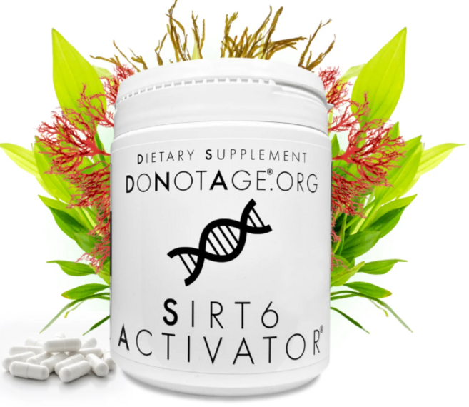 두낫에이지 시르투인 6 SIRT7 후코이단 액티베이터 텔로미어 60정, 1개