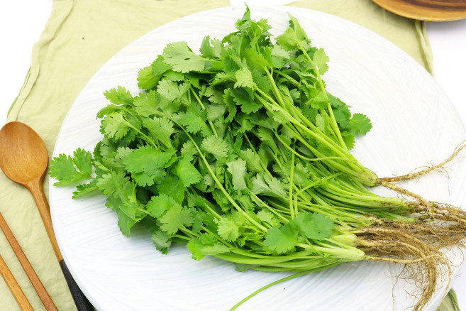 국내산 고수 나물 향채소 고수풀 산지직송, (생)고수 1kg, 1개, 1kg