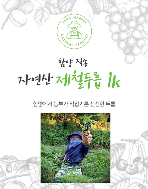 함양두릅 - 직배송 자연산 두릅, 250g, 4개