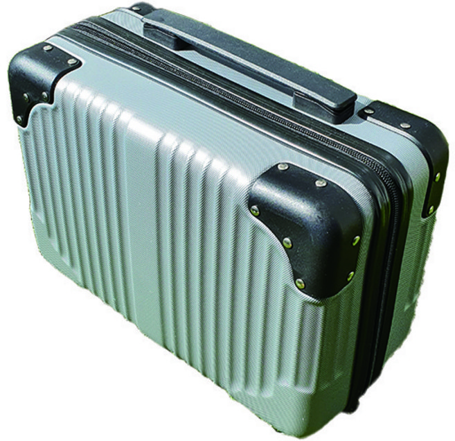 늘바론 미니 캐리어 네임택 14인치