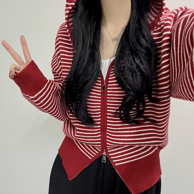 VANANA2 [찐고퀄!/아방폭닥/5col] Silver Pendant 핏예쁜 투웨이 단가라 후드집업