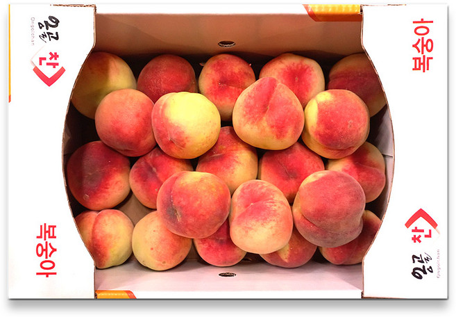 아삭 달콤 딱딱이 털복숭아, 1개, 10kg