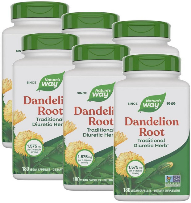 네이처스웨이 단델리온 민들레 뿌리 허브 추출물 캡슐 Nature's Way Dandelion Root, 6개