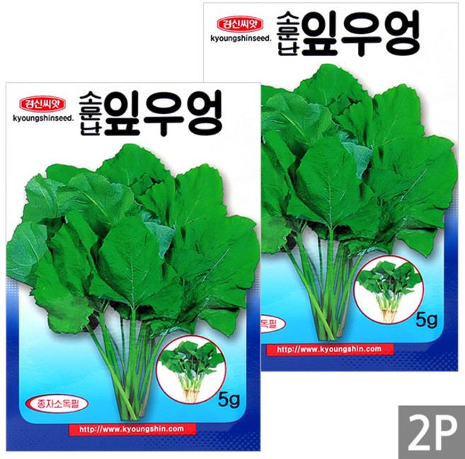 세인화분 소문난 잎 우엉 5g - 씨 씨앗 잎우엉 우엉씨 우엉씨앗, 2개