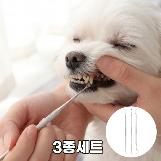 리커전 강아지 치석제거기 반려견 고양이 스케일러, 3개, 실버