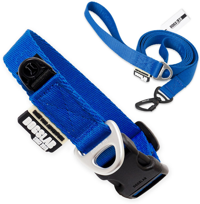 독스랩 강아지 목줄 + 리드줄 세트, 클래식 블루, 1세트