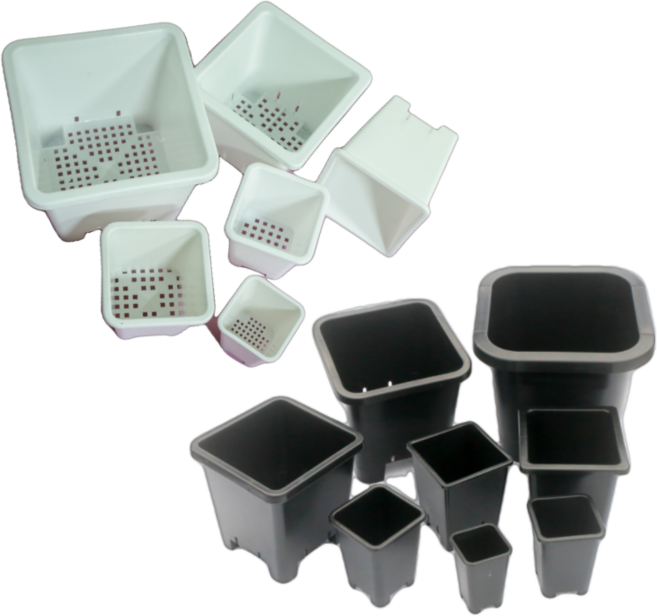 로그플랜츠 사각플분 국산, 흰색