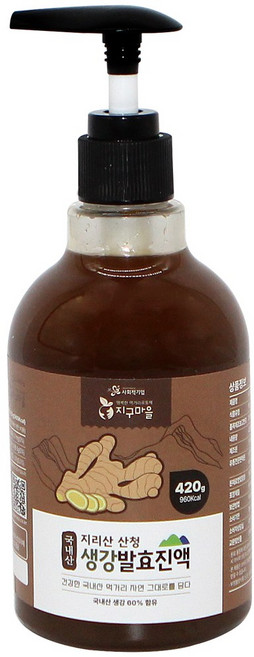 지구마을 국내산 지리산 산청 생강차 생강발효진액, 420g, 1개