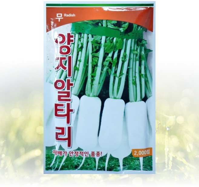농사친구 양지 알타리 무 2000립 씨앗 팜한농 흥농 씨 종자 김장 쪽파 고사리 항암 배추, 1개