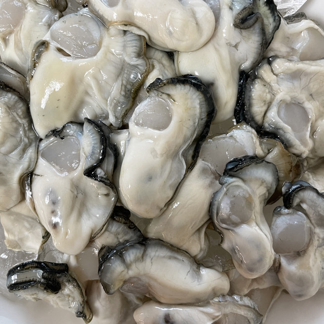 당일조업 제철 통영 산지 생굴 1kg 중소 세척 굴 (오후 4시 이전 주문 당일발송), 1개