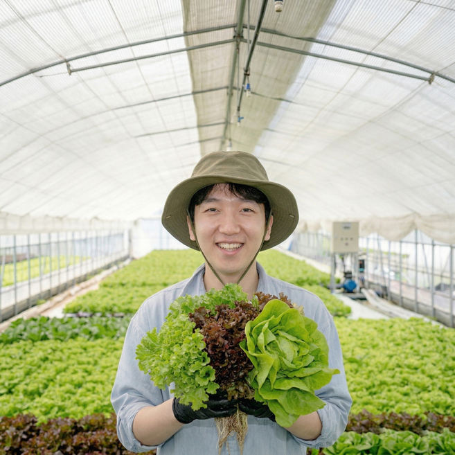 청담채 유러피안 샐러드 샐러드 야채 3~5종 야채모듬, 1kg, 1박스, 1kg