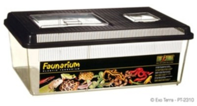 pt2310 엑소테라 플랫홈채집통 특대사이즈 !! (칸막이가능), 2개