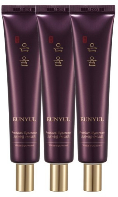 은율 프리미엄 한방 아이크림, 40g, 2개