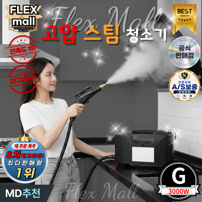 5위 - 플렉스몰 핸드 스팀 청소기 핸디 고압 스팀기 세차기 세척기 분사 살균기, G