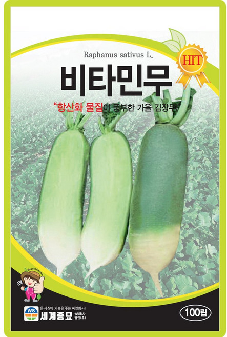 세계종묘 비타민무 씨앗 100립 가을 김장무씨 종자, 1개