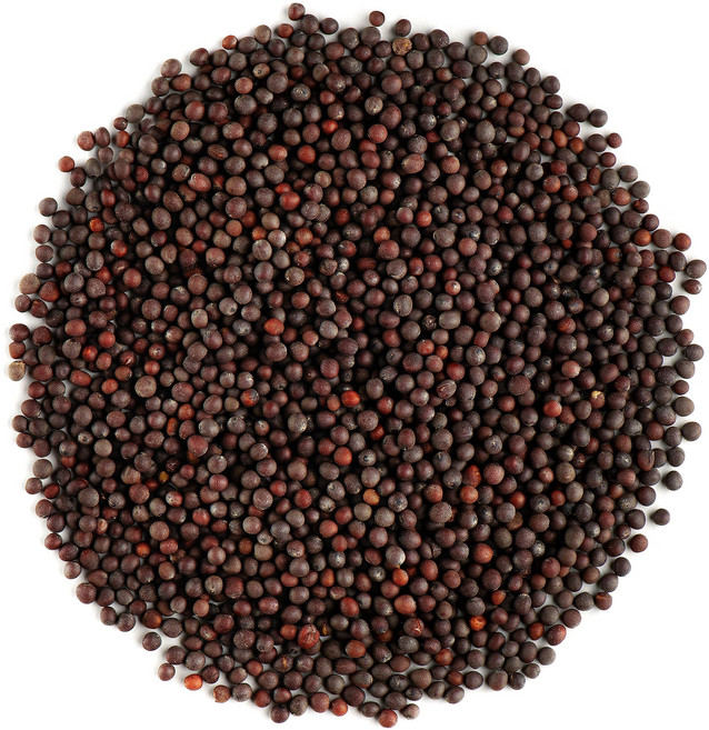 흑겨자 씨앗 통 유기농 - 갈색 겨자 씨앗 매운 재료 - 어 Black Mustard Seeds Whole Organic - Brown Mustard Seed Spicy Ingri, blackMustardSeed, 1개, 208.65g