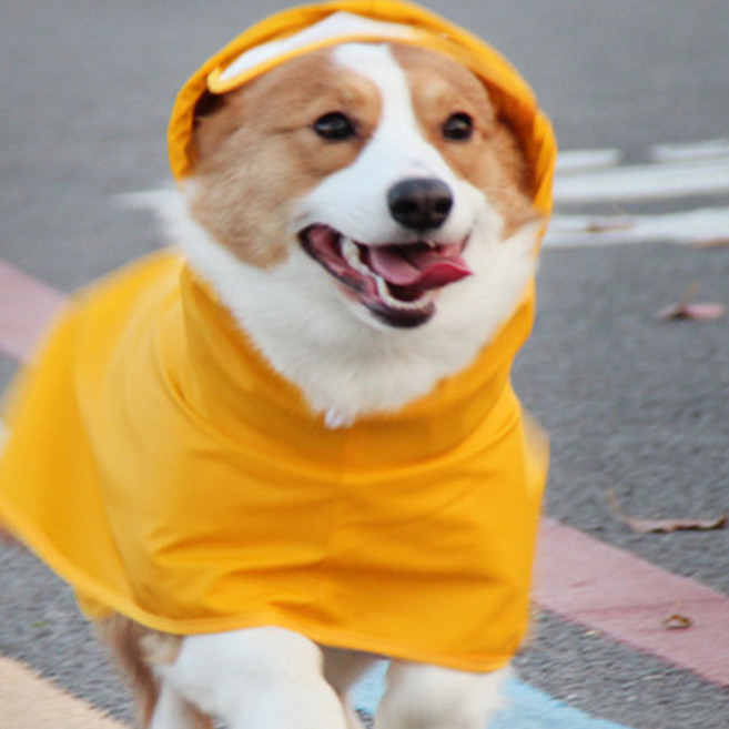런웨이멍멍 [시즌할인+총알배송 7/15발송] 강아지 판쵸우비 배받침 댕댕이 판쵸우의 중형견 강아지비옷 대형견 레인코트, 강아지우비-옐로우, 1개