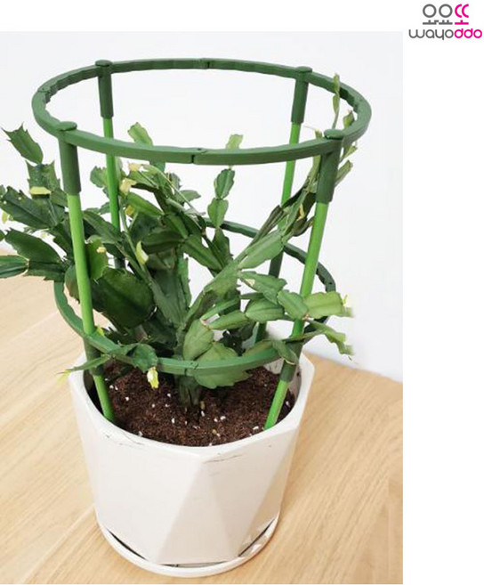 T자 조립형 식물 지지대원형 화초 화분 꽃 지주대 넝쿨 텃밭, 27cm(부속품포함)-1개, 1개
