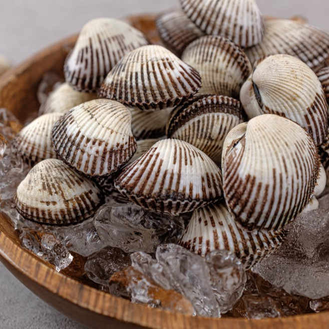 [ 산지직송 ] 싱싱한 해산물 벌교꼬막 새꼬막 피꼬막 2kg, 새꼬막 2kg 대(150~170미), 1개