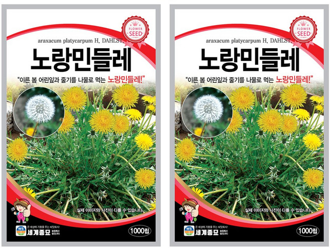민들레 노랑 씨앗 꽃씨 1000립 꽃씨앗 세계종묘 모칸도, 2개