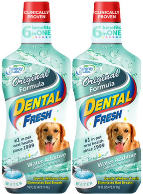 시너지랩 독 덴탈 후레쉬 503ml(물에 섞어주는 치약), 503ml, 2개, 오리지널