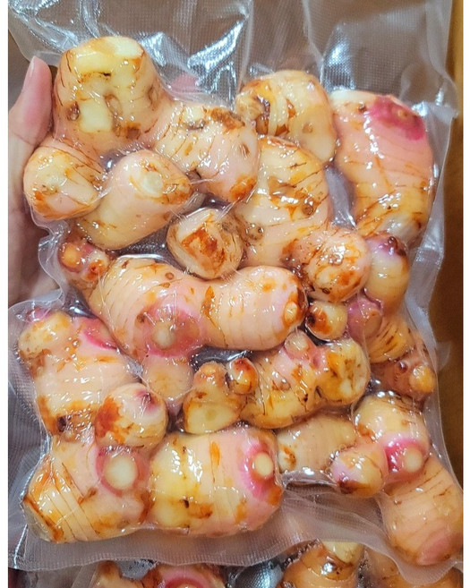 동남아야채나라 생 갈랑갈 갈랑가 1kg 1개