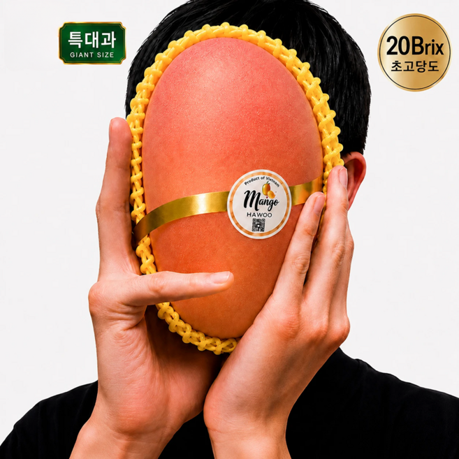 망고 완벽 가이드 — 선택 방법부터 주의사항까지