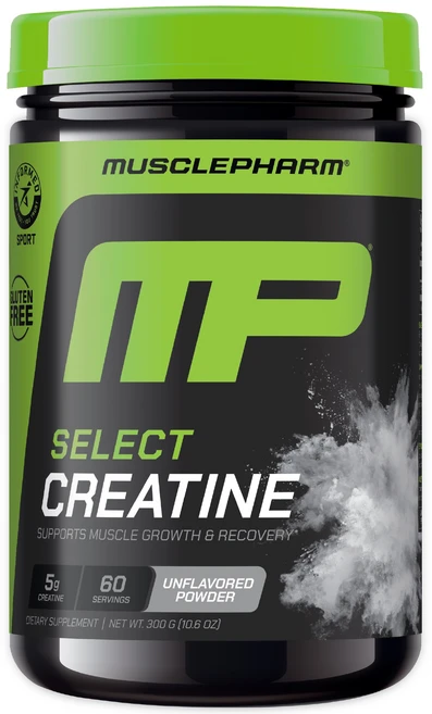 머슬팜 에센셜 퓨어 크레아틴 모노하이드레이트 파우더 언플레이버드, 300g, 1개 - 쿠팡