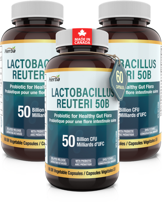 락토바실러스 루테리 500억 유산균 프리바이오틱스 포함 허바 캐나다, 3개, 60정