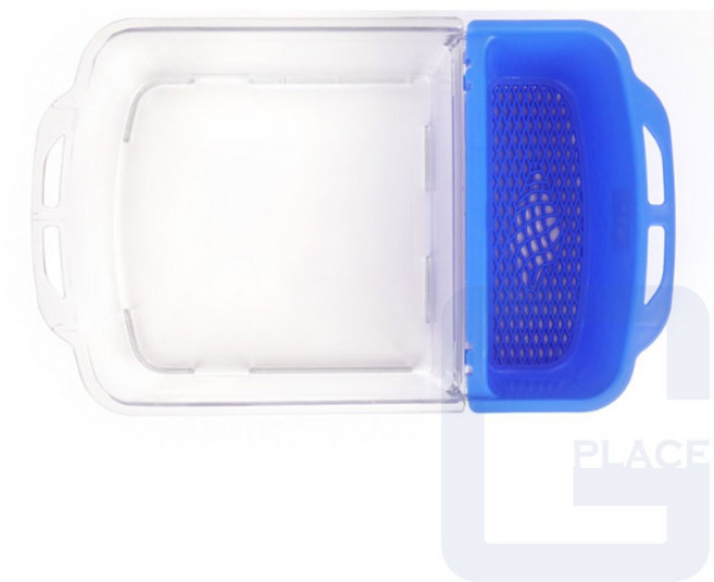 굿단미 채집통 소라채집