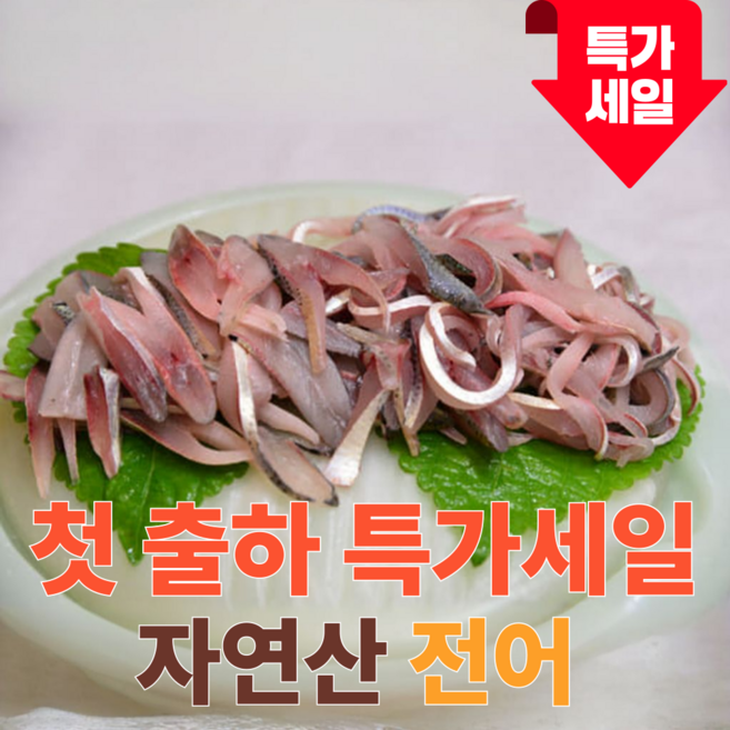 [첫출하특가세일] 쫄깃고소 전어회 전어구이 500g, 1개, 구이용 원물(1kg)