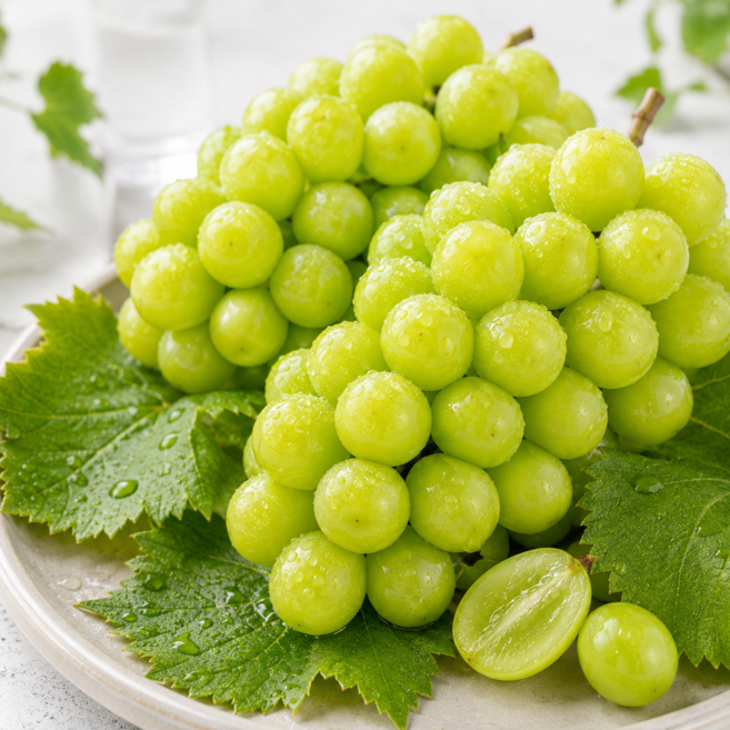 프리미엄 고당도 샤인머스캣, 1개, 1.5kg(특품) 3수