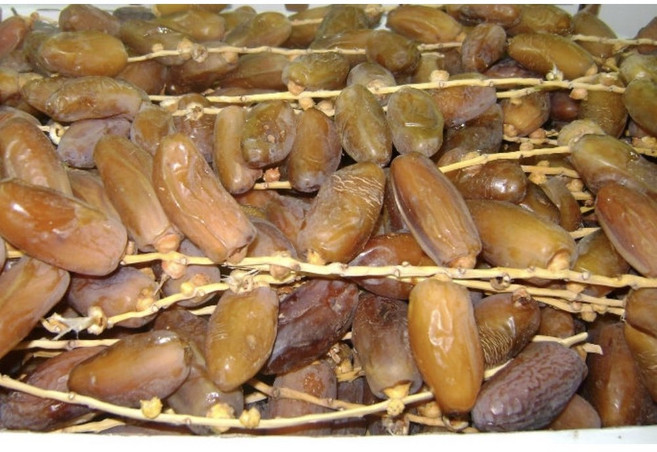 냉장(생) 대추야자 튀니지 (Deglet Nour of Tunisia) 1Kg S. N. FOOD, 1개