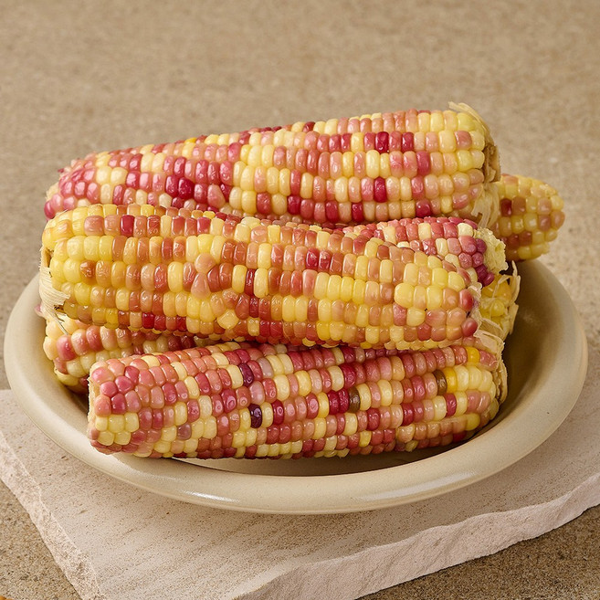 쪄서가는 간편한 홍찰옥수수 특대 30개, 1박스