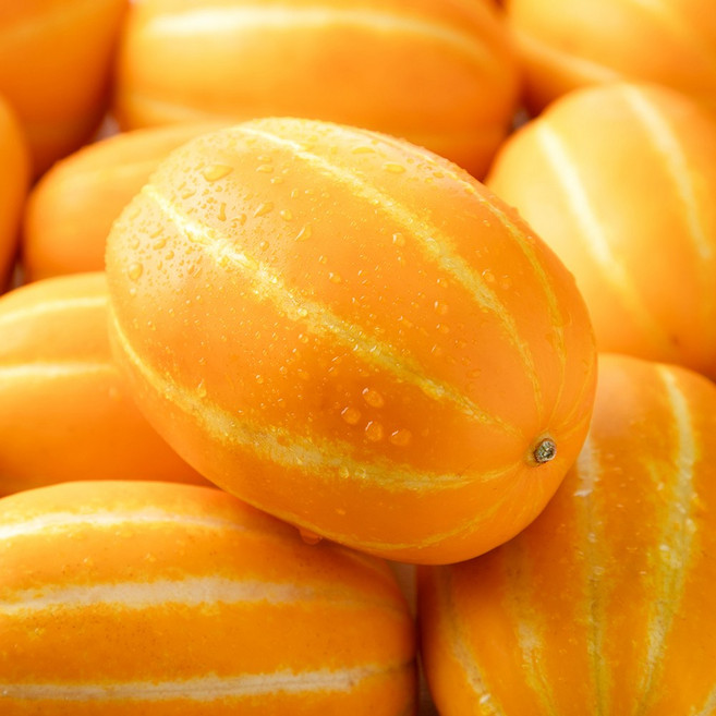 산지 직송 아삭 달콤 고당도 성주 참외 가정용 못난이 랜덤과, 1개, 4kg