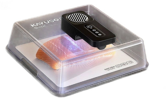 냉동 육류 해동기 식품 신선 냉동육 스테이크 자동 신선도 주방 고기 급속 생선, 기본 색상