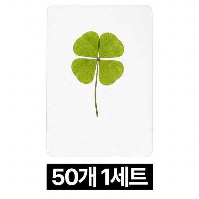 디심플 행운 네잎클로버 코팅 50개 세트