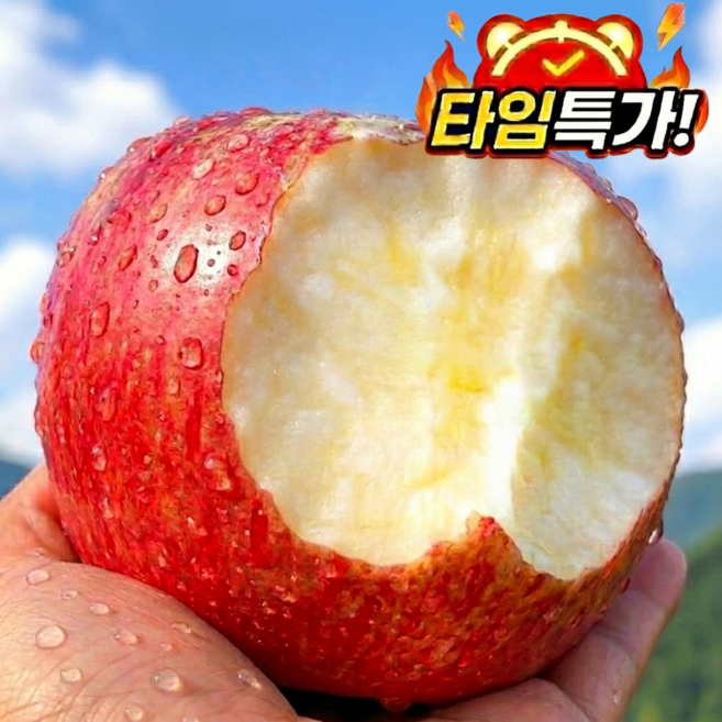 [타임세일] 껍질째 먹는 세척사과, 1박스, 5kg