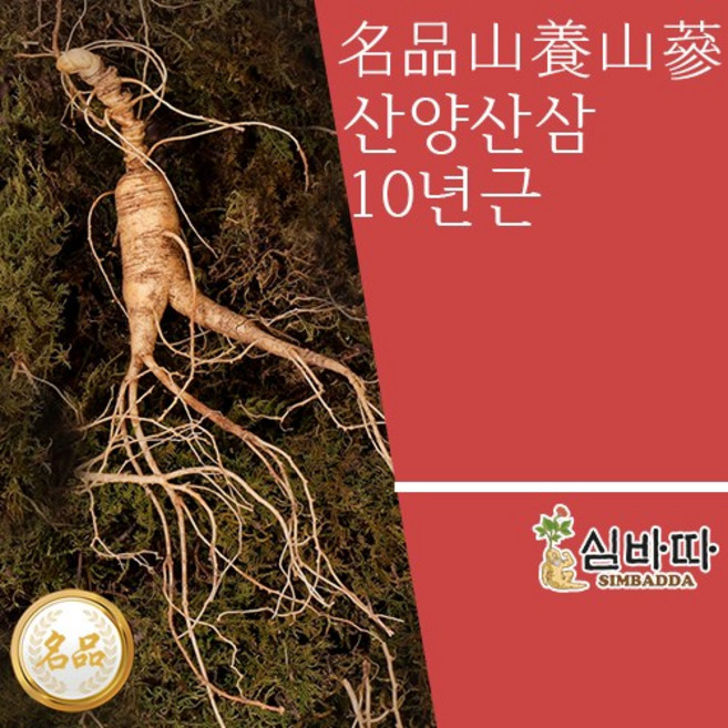 산양산삼 10년근 장뇌삼 1뿌리 산양삼 명절 추석 선물세트 부모님 선물, 1개
