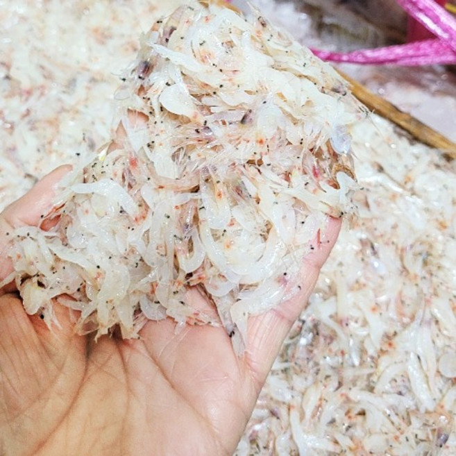 신안산 김장용 생새우 동백하 2kg 급냉, 1개