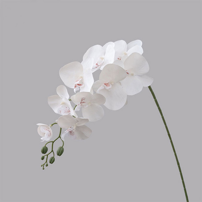 仿真九頭蝴蝶蘭 婚禮佈置 客廳餐桌裝飾花, 1個, 白色