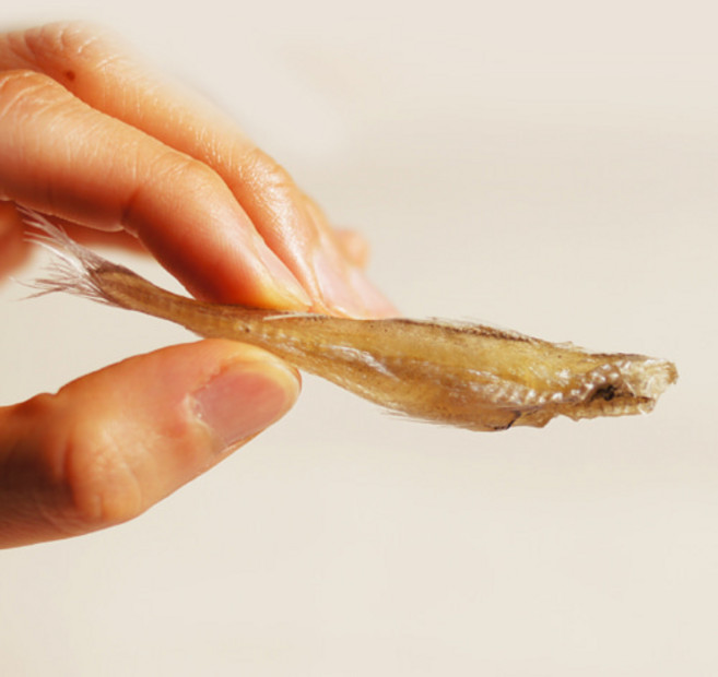 해야미 아기 앵치노가리(소소) 300g, 1개