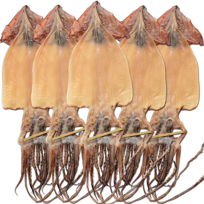 해맑은푸드 부드러운 마른오징어 5미, 750g, 1개