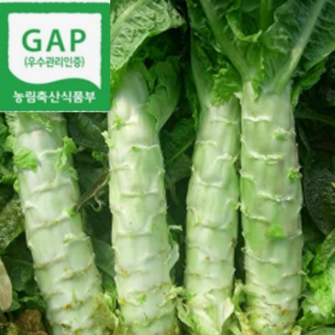 [친환경GAP인증]한정판매 당일수확 줄기상추 국내산 생궁채, 1박스, 1kg