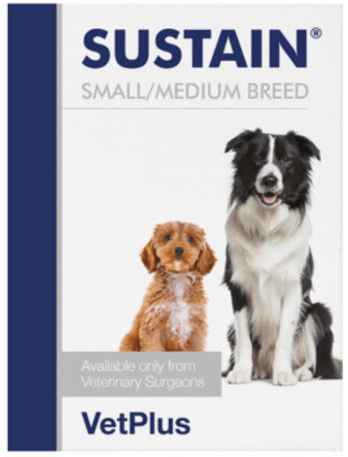 [벳플러스] 서스테인 30포 강아지 항암/면역 증강 보조제+사은품증정, 30개