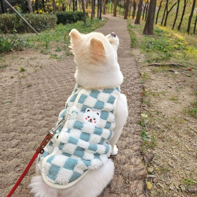 따뜻한 겨울 강아지 고양이 맨투맨 티셔츠 후리스 하네스 조끼 옷 S ~ 2XL, 민트, 1개