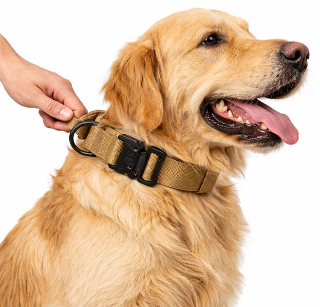 로로포우 버클 목줄 튼튼한 중대형견, 1개, 브라운