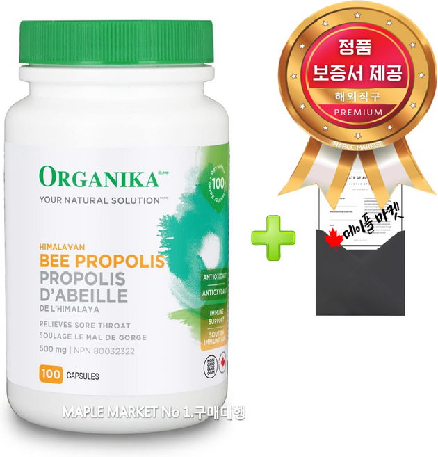 올가니카 히말라야 비 프로폴리스 캡슐 500mg 캐나다 직배송+정품보증서, 1개, 500mg 100캡슐, 100회분
