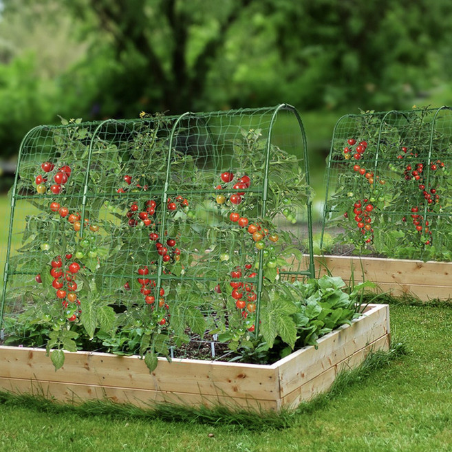 HK sell 덩이 덩굴 화초 오이 호박 포도 토마토 지주대 넝쿨 텃밭 지지대, 직경 11mm, 1개