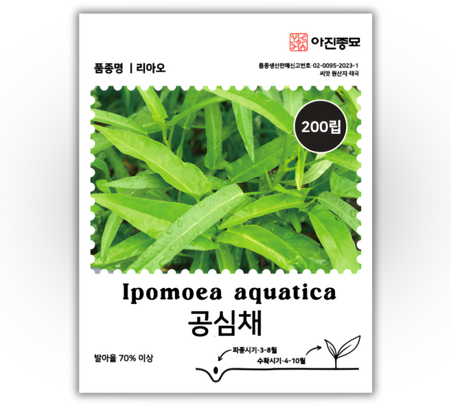[주주씨앗] 공심채 씨앗 200립 (10g) / 동남아 대표채소 모닝글로리 종자, 1개